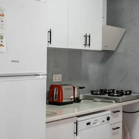 Defne House アパート ウルラ